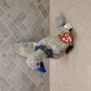 TY 2000 Buzzy Beannie